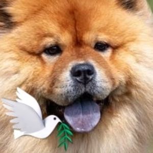 Meet your Posher, Beto